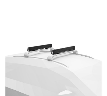 Thule SnowPack L Black